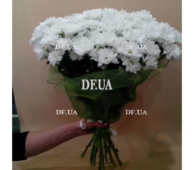 Chamomile in a bouquet - view 2