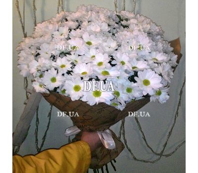 Chamomile in a bouquet - view 4