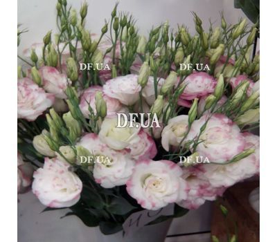 Pink eustoma in bouquet - view 1