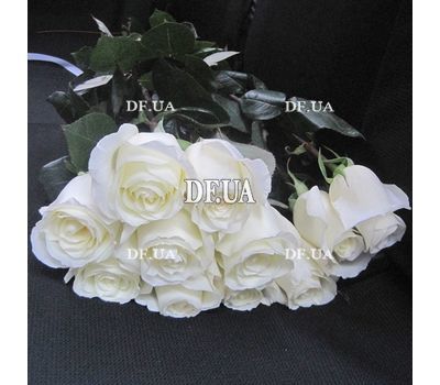 Roses sort Mondial - view 3