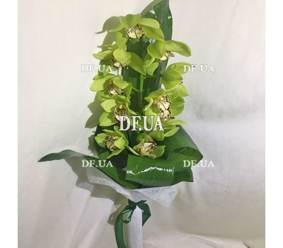 Green orchid branch - view 1