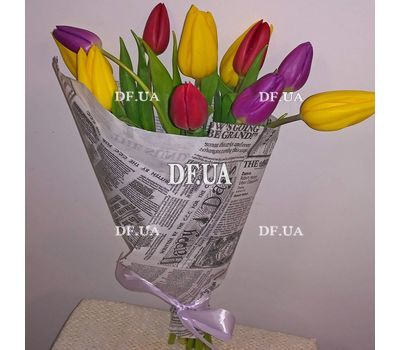 11 tulips - view 10