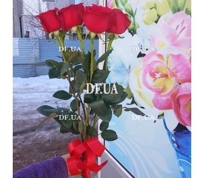5 roses 1 meter - view 3