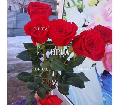 5 roses 1 meter - view 4