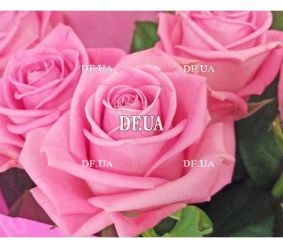Small bouquet of 9 pink roses - view 5