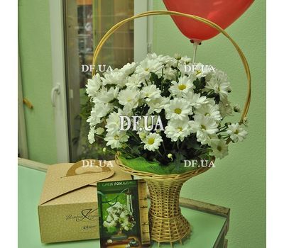 Basket of white daisy chrysanthemums - view 1