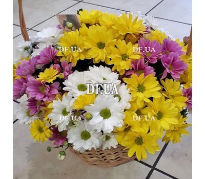 Basket of multi-colored chrysanthemums - view 1