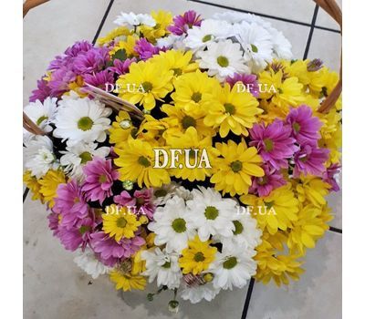 Basket of multi-colored chrysanthemums - view 2