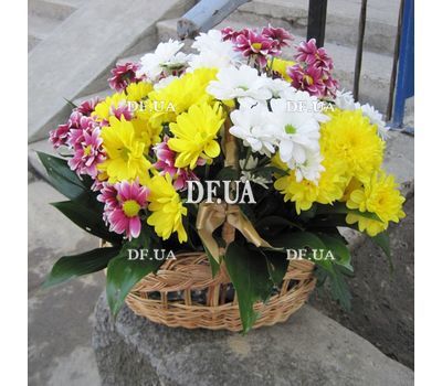 Basket of multi-colored chrysanthemums - view 5