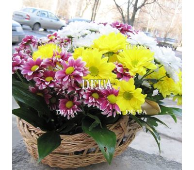 Basket of multi-colored chrysanthemums - view 6
