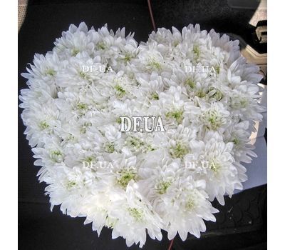 Heart of flowers chrysanthemums - view 1
