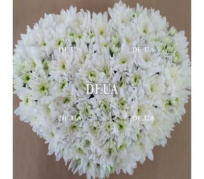 Heart of flowers chrysanthemums - view 4
