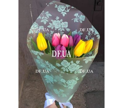 11 tulips - view 11