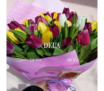 51 tulip - view 3