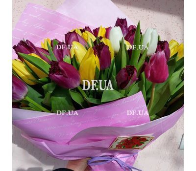 51 tulip - view 4