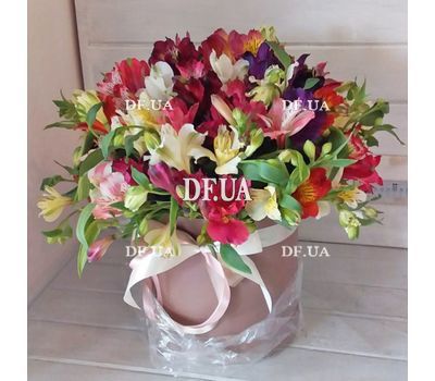 Alstromeria in a hat box - view 1