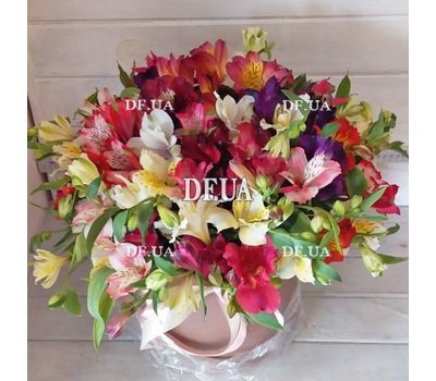 Alstromeria in a hat box - view 2