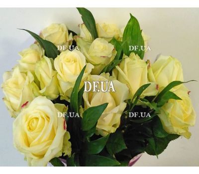 Bouquet of 15 roses in craft - view 8