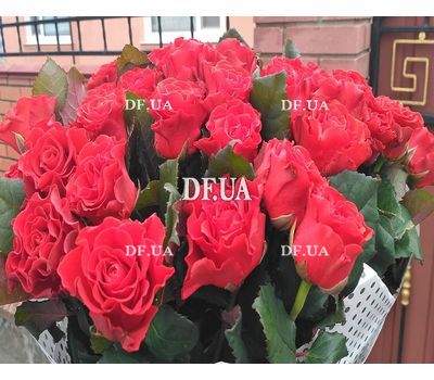 Bouquet of 55 red roses - view 2