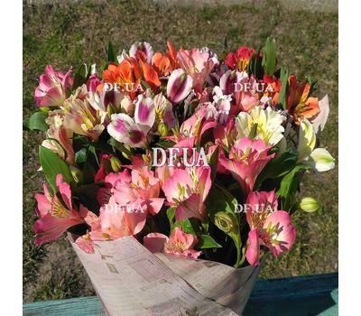 Bouquet of alstromeries - view 9