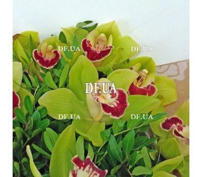 Bouquet of green orchids cimbidium - view 13