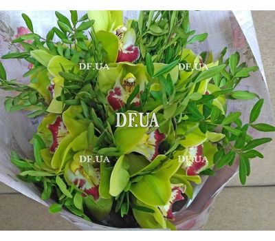 Bouquet of green orchids cimbidium - view 16