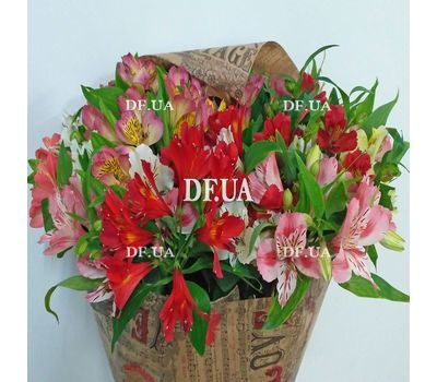 Alstroemeria flowers in bouquet - view 10
