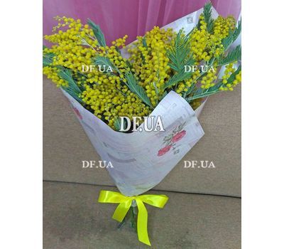 Mimosa bouquet - view 1
