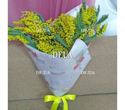 Mimosa bouquet - view 2