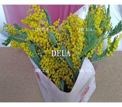 Mimosa bouquet - view 3