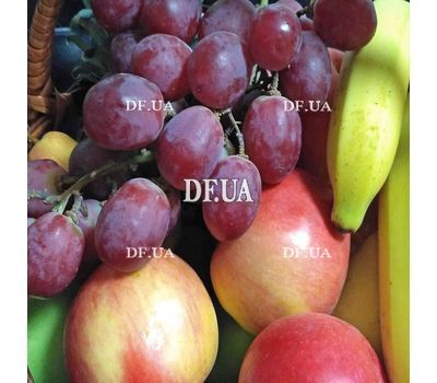 Huge fruit basket - view 3