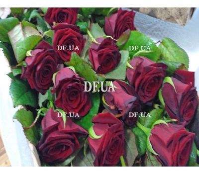 Beautiful roses in a long box - view 3