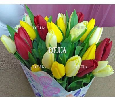 Spring flowers tulips - view 8