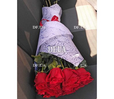 High roses - view 1