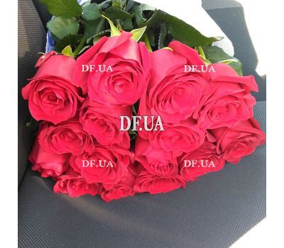 High roses - view 2