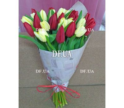 Live tulips - view 1