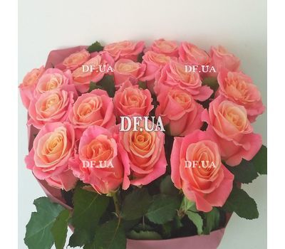 Bouquet of 21 roses - view 2