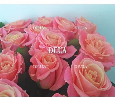 Bouquet of 21 roses - view 3
