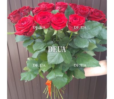Bouquet of 25 red roses with ribbon - view 1