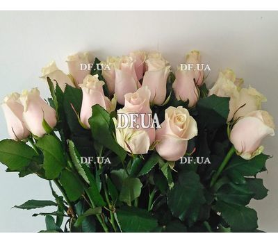Cute bouquet of cream roses - view 2