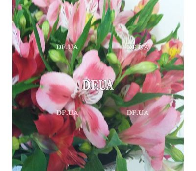 Bouquet with alstroemerias - view 4