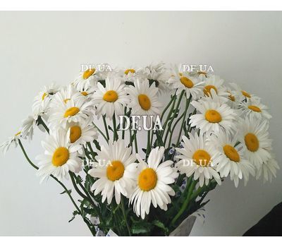 A chic bouquet of chamomiles - view 2