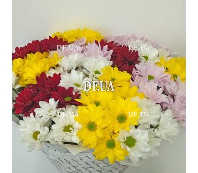 Bouquet of 15 chrysanthemums - view 2