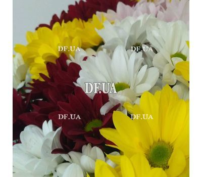 Bouquet of 15 chrysanthemums - view 3