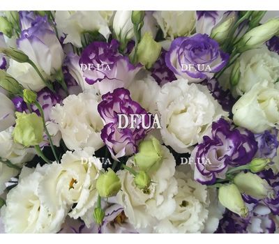 Hats box with eustoma 2
