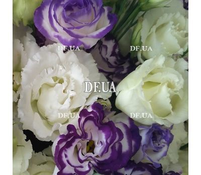 Hats box with eustoma 3