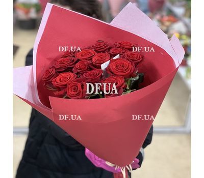 15 scarlet roses 4