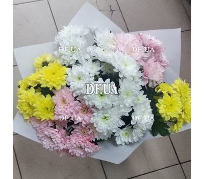 Bouquet of 7 chrysanthemums 1