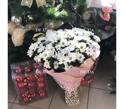 A bouquet of chamomiles 7