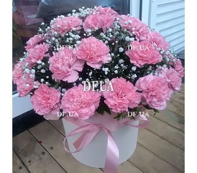Гвоздики в коробці - вид 6